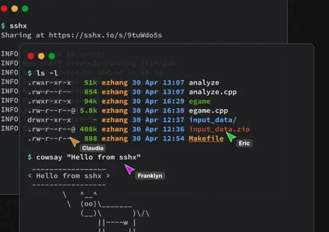 【开源分享】SSHX：安全、协作的Web终端工具